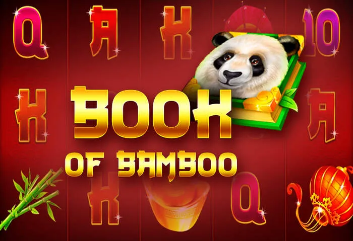 Amoncasino'da popüler slot oyunları, canlı rulet ve blackjack masaları.